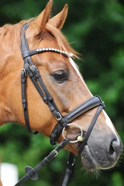 Kavalkade Cortica Vegan Cork hodelag