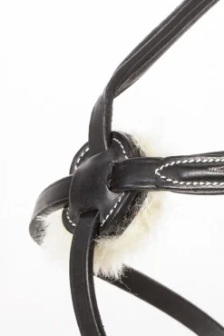 Kavalkade Diandro Hodelag med kryssnesereim