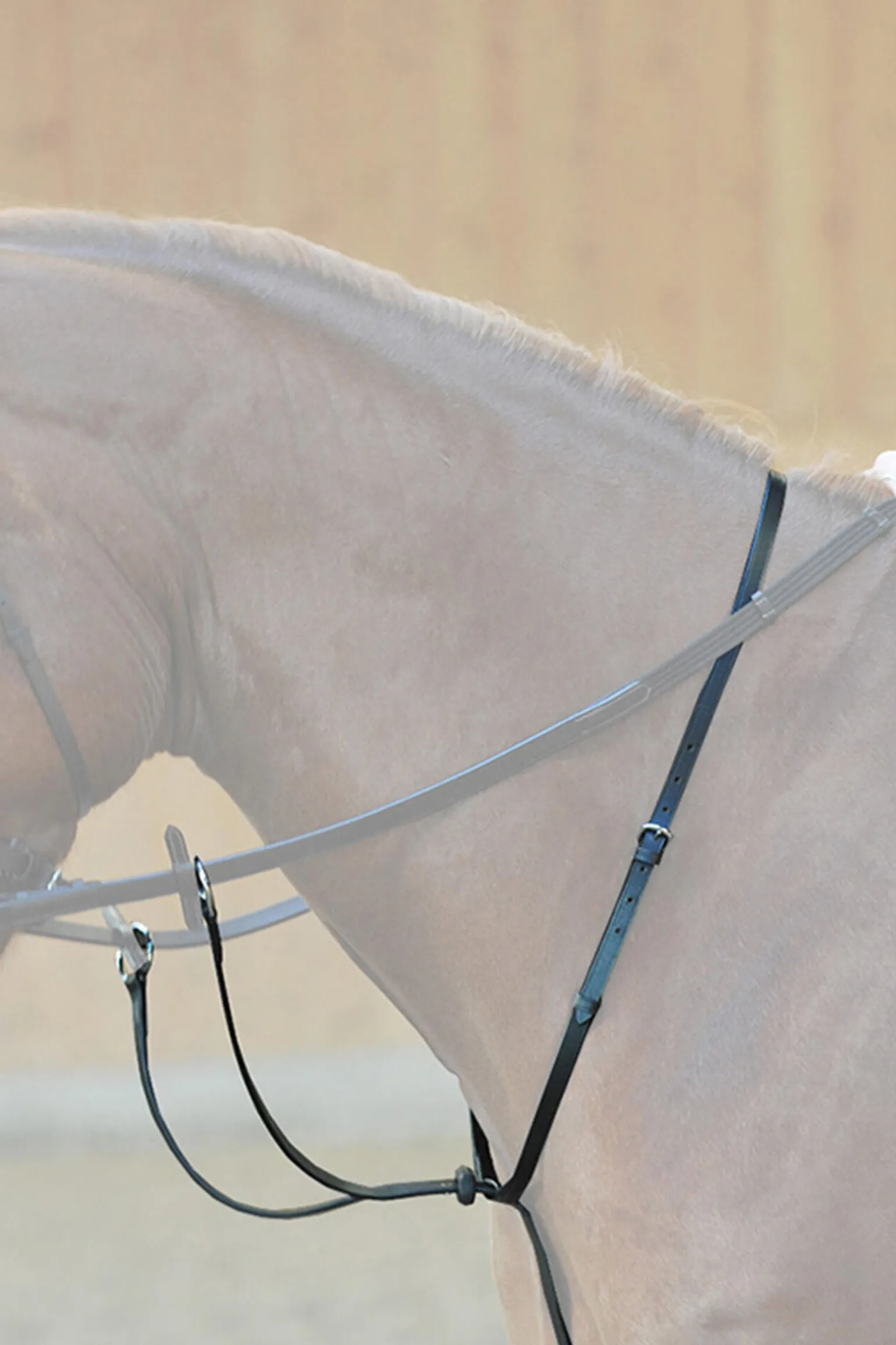 Kavalkade Ecoline martingal med stoppere