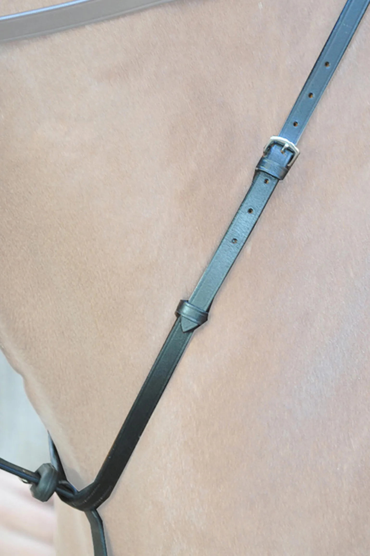 Kavalkade Ecoline martingal med stoppere