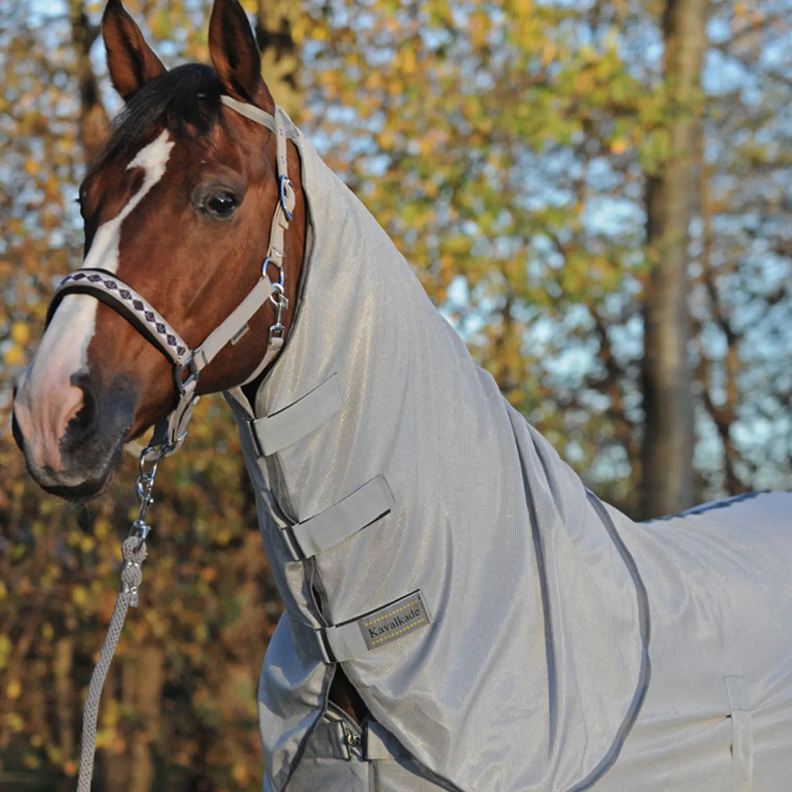 Kavalkade fluedekken med avtakbar hals