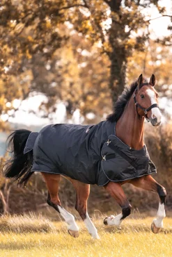 Kavalkade Halifax 2-i-1 Utedekken og Walker-dekken 50g