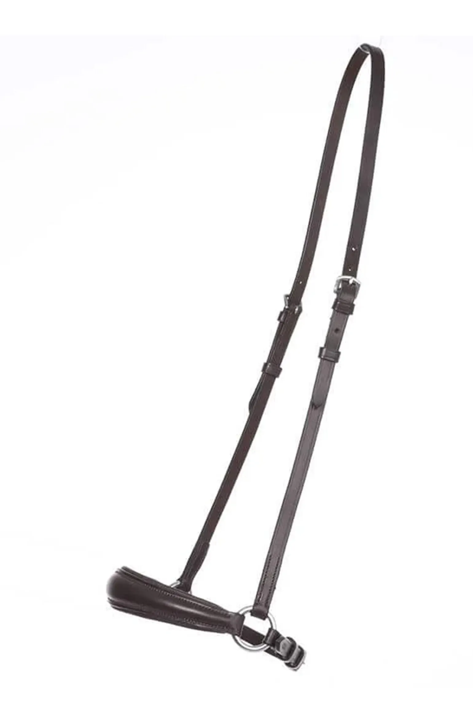 Kavalkade hanoveransk nesereim