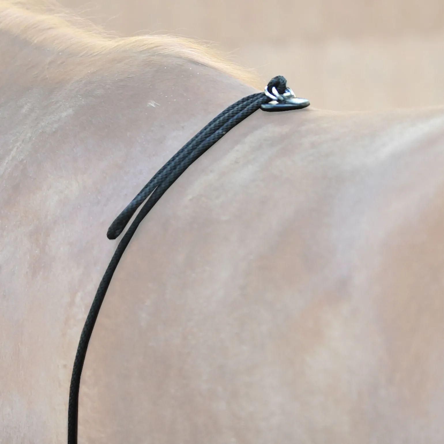 Kavalkade HO longesystem