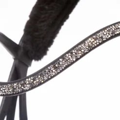 Kavalkade Ivella KavalSh4 hodelag