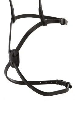 Kavalkade kryssnesereim