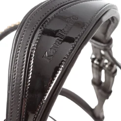 Kavalkade Reyna KavalSH4 hodelag