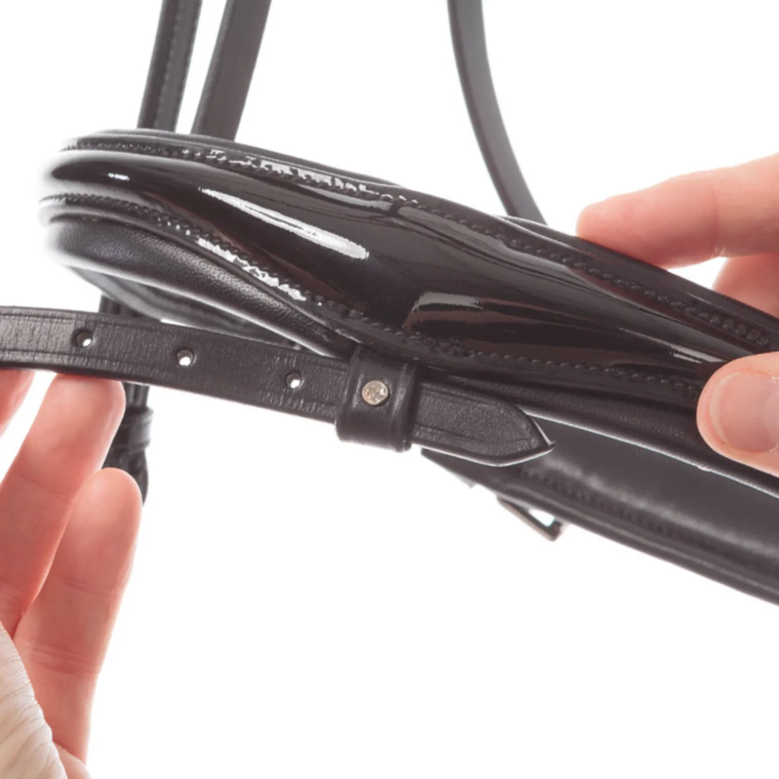 Kavalkade Reyna KavalSH4 hodelag