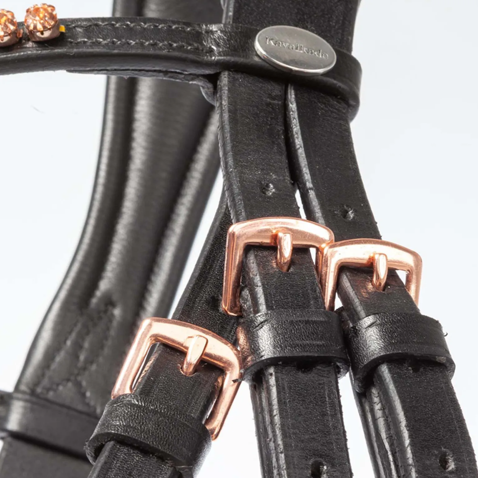 Kavalkade Rose hodelag