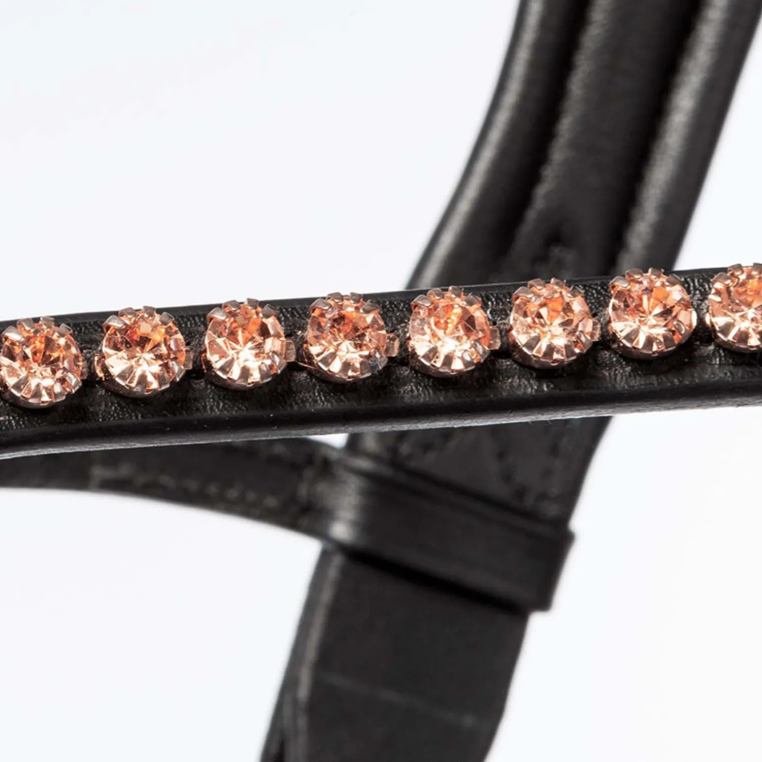 Kavalkade Rose hodelag