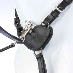 Kavalkade V-formet fortøy