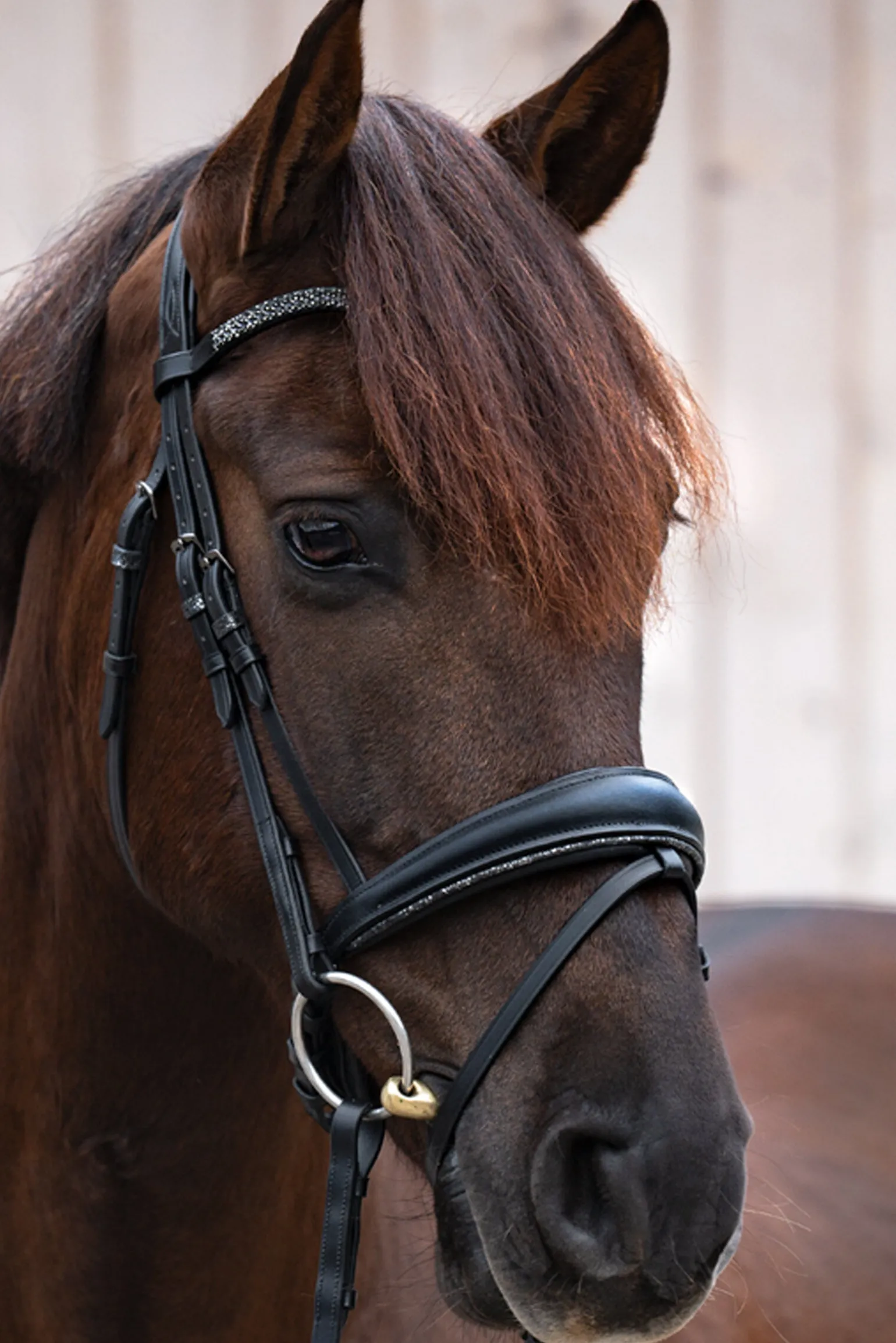 Kavalkade Victoria Hodelag