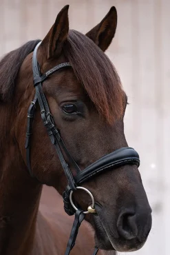 Kavalkade Victoria Hodelag