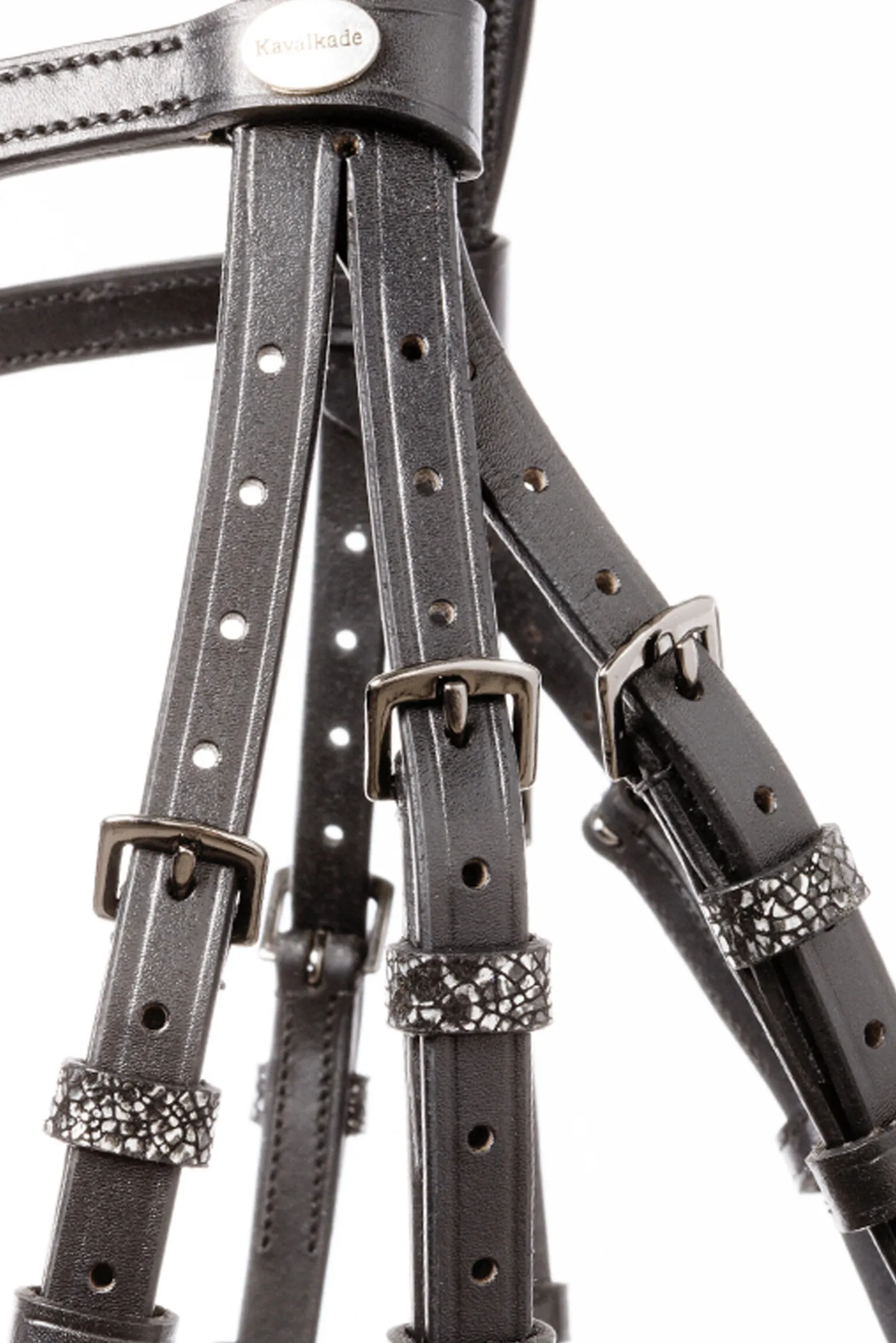 Kavalkade Victoria Hodelag