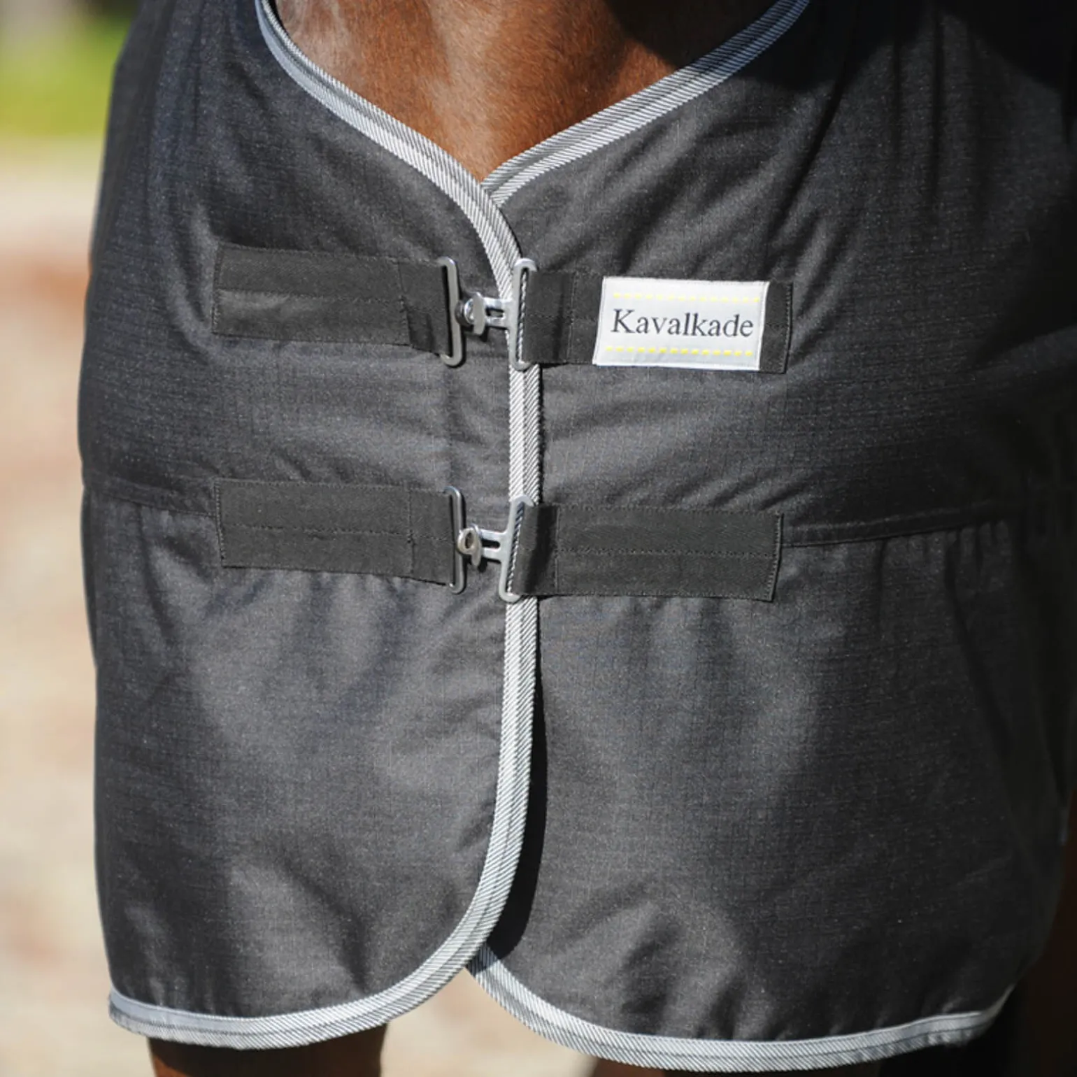 Kavalkade Winnipeg utedekken, 50 gram