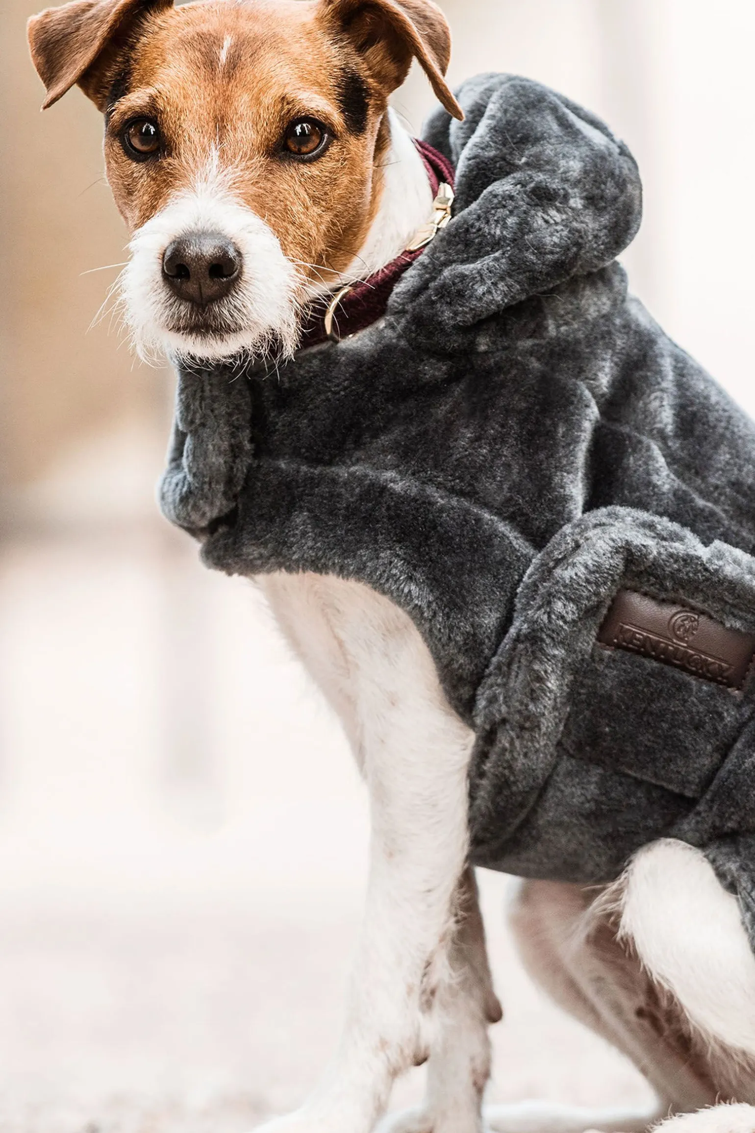 Kentucky Dogwear Fake Fur hundedekken