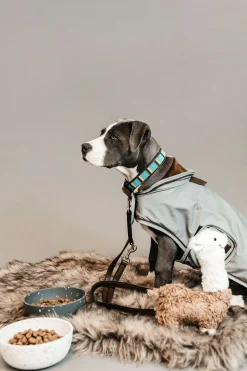 Kentucky Dogwear Hundehalsbånd med Perler