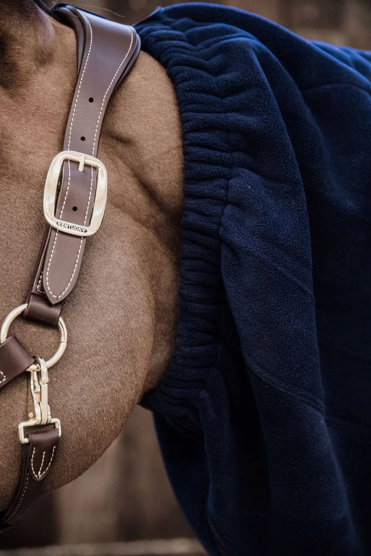 Kentucky Fleece Horse Scarf