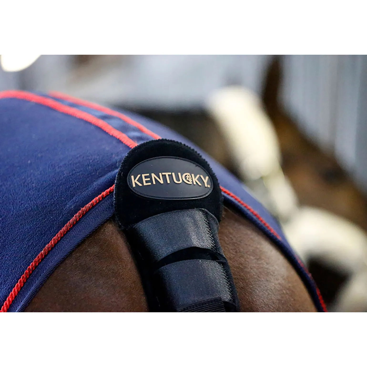 Kentucky Horsewear Halebeskytter / Halepose
