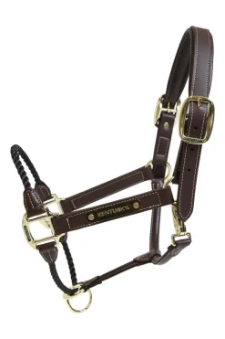 Kentucky Horsewear leather rope grime