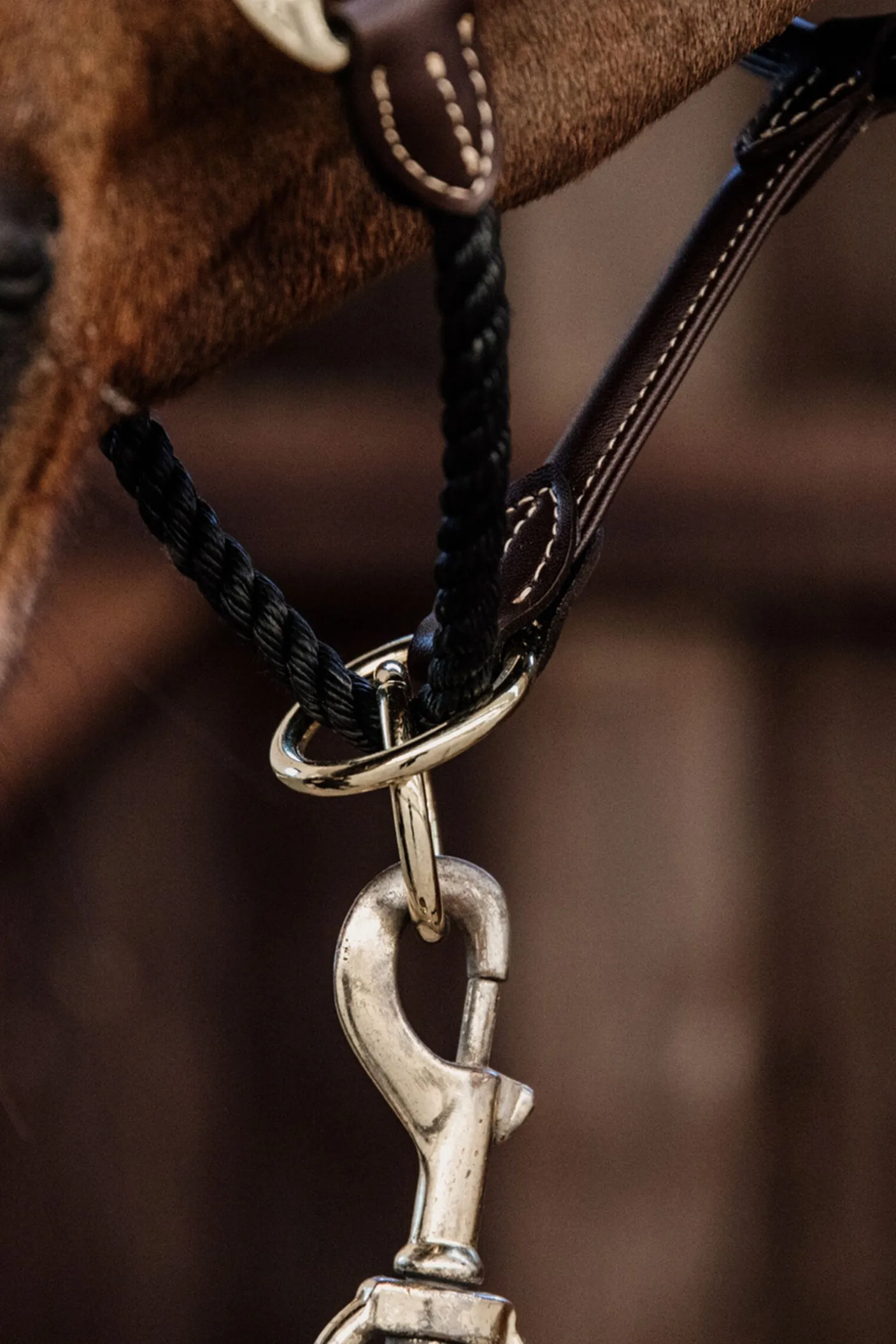 Kentucky Horsewear leather rope grime