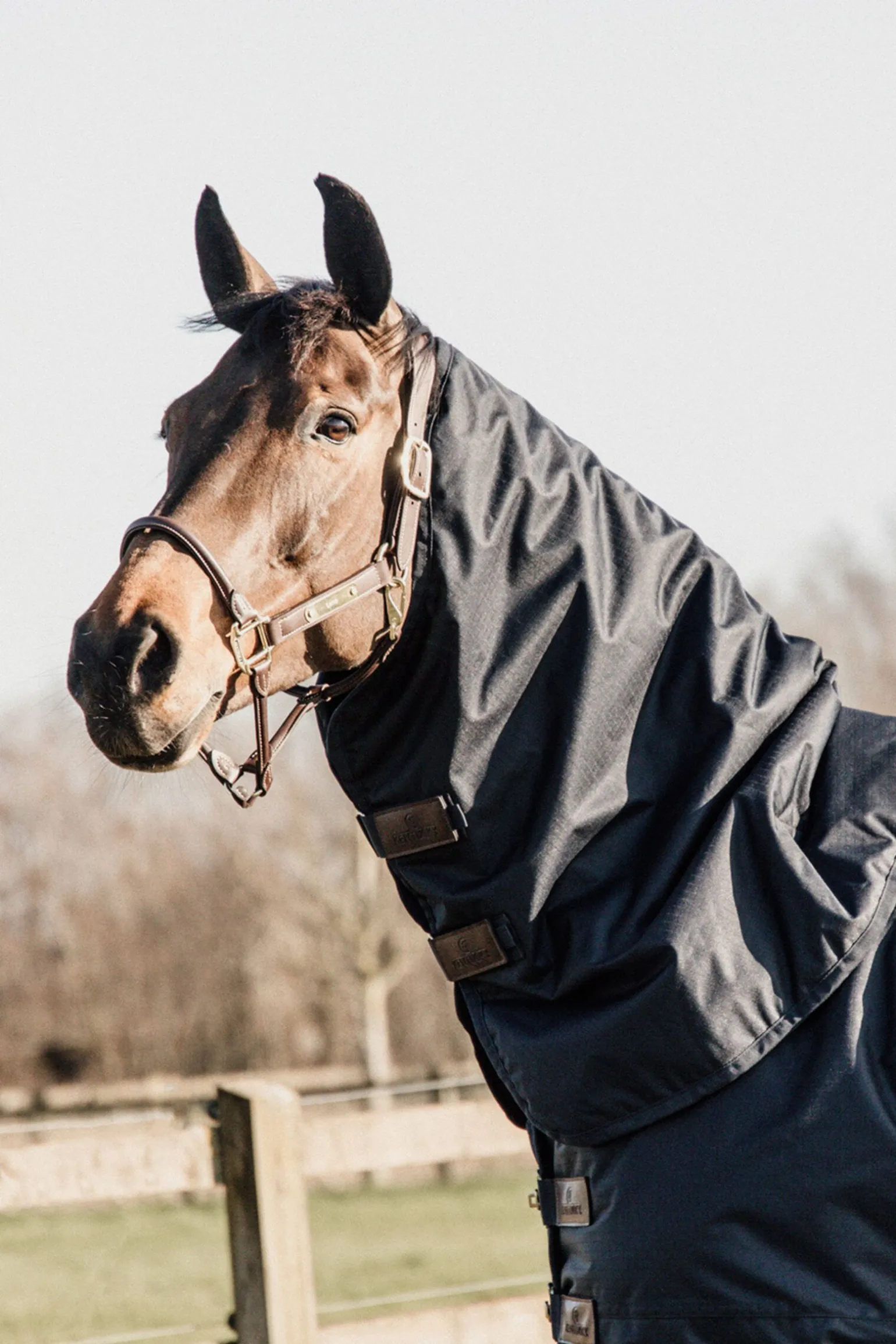 Kentucky Horsewear Outdoor hals, 0 gram