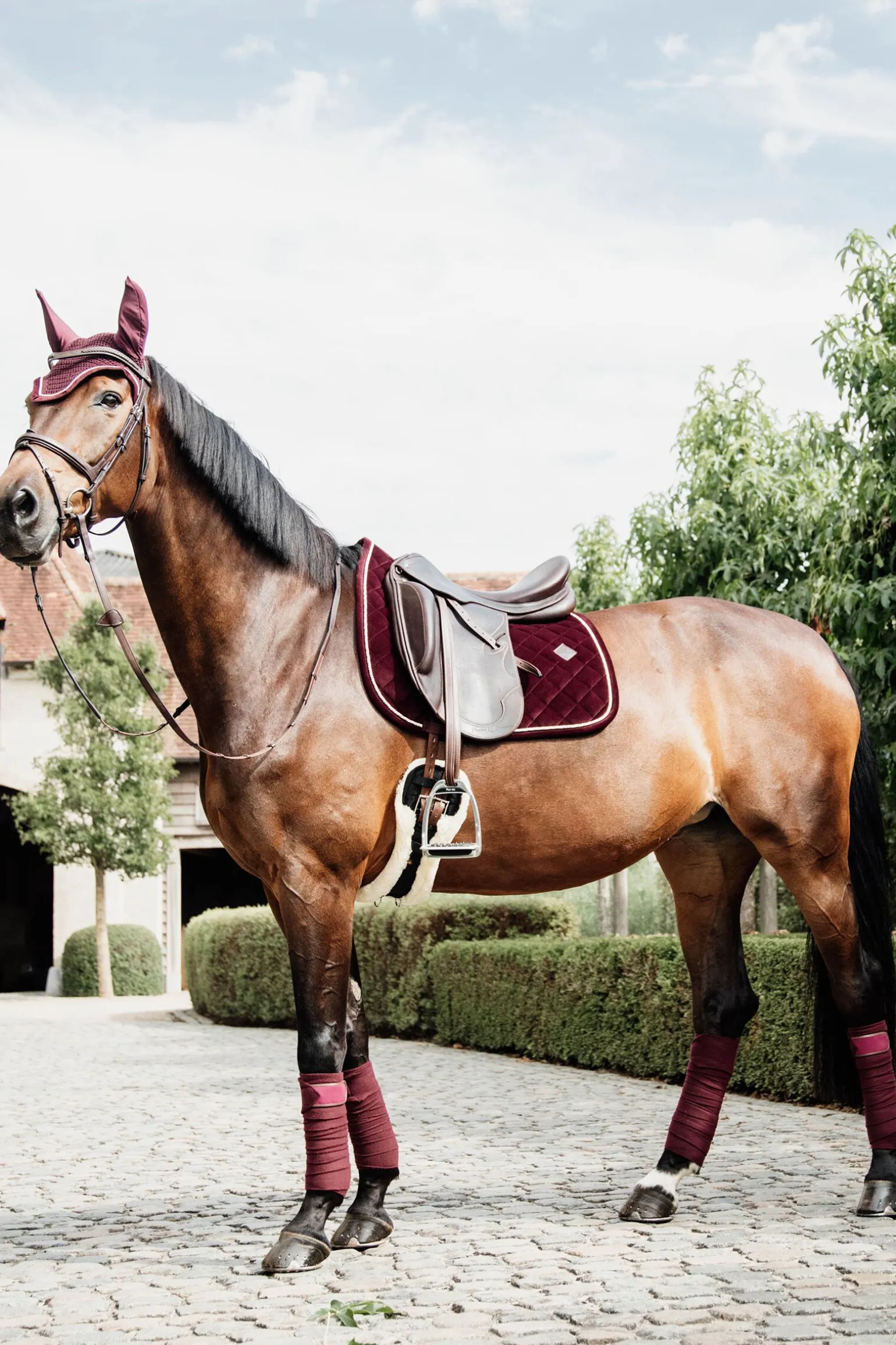 Kentucky Horsewear Polar Fleece Polos