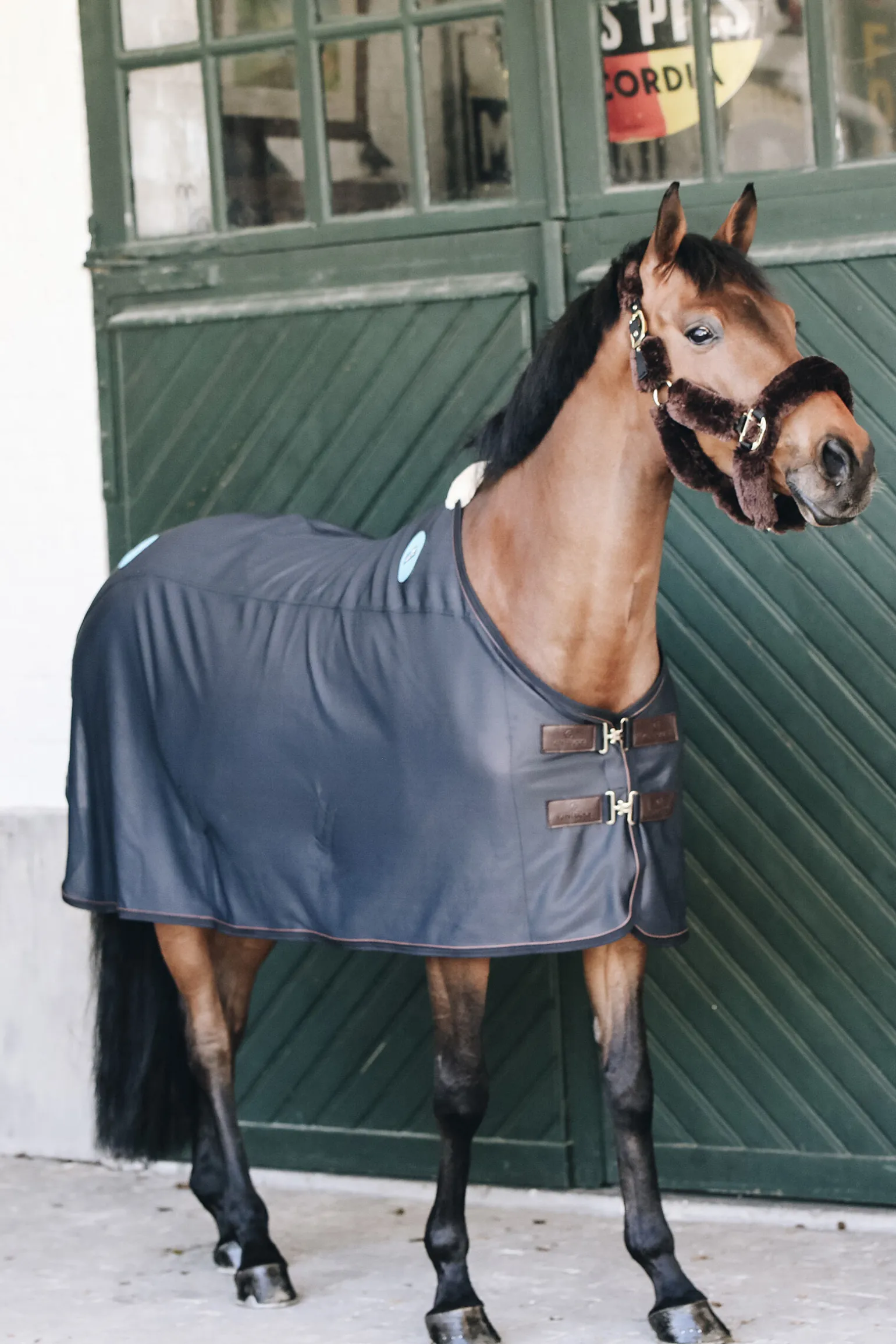Kentucky Horsewear Recuptex magnetisk dekken