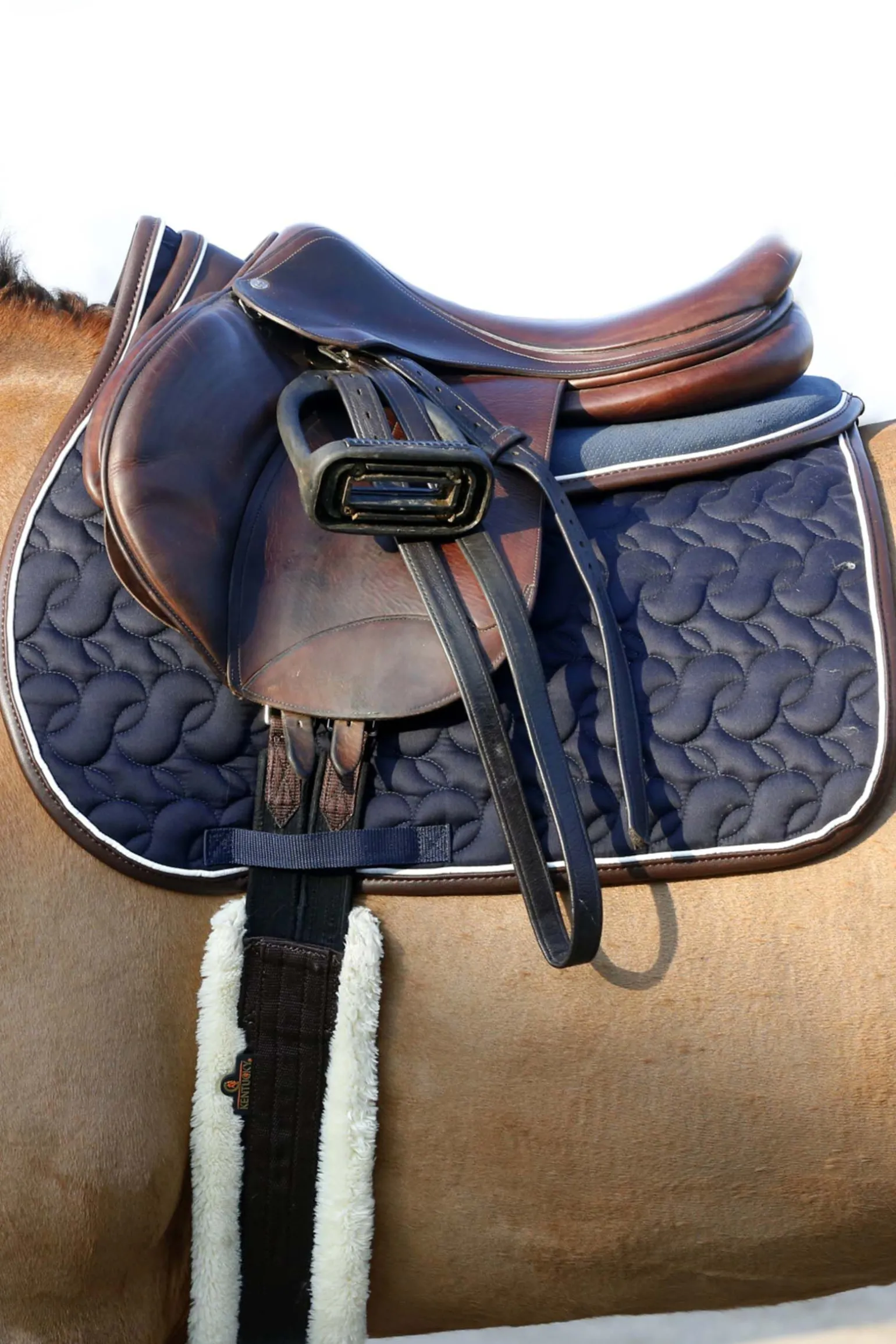 Kentucky Horsewear saueskinn gjord