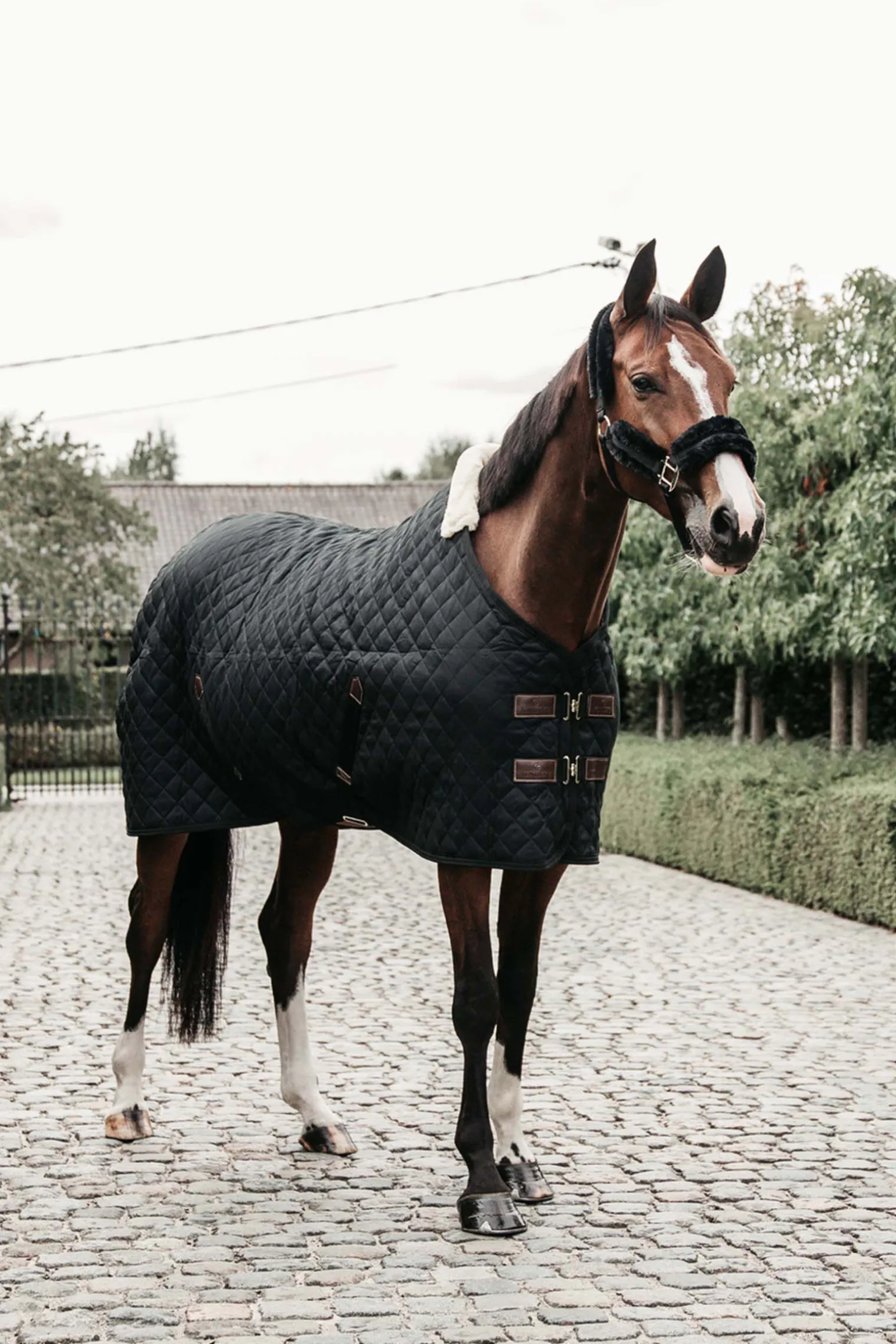 Kentucky Horsewear stalldekken, 400 gram