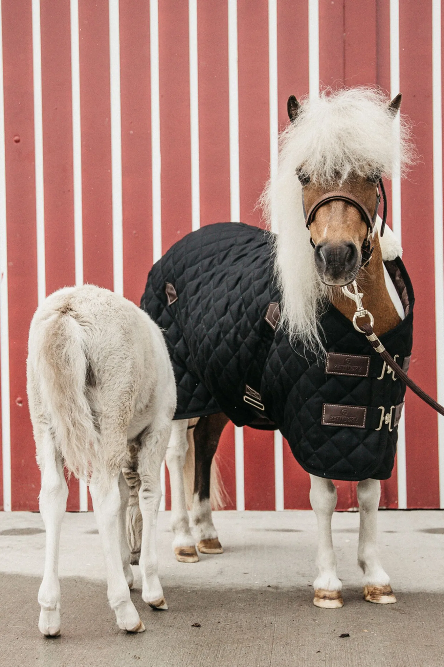 Kentucky Horsewear stalldekken, 400 gram