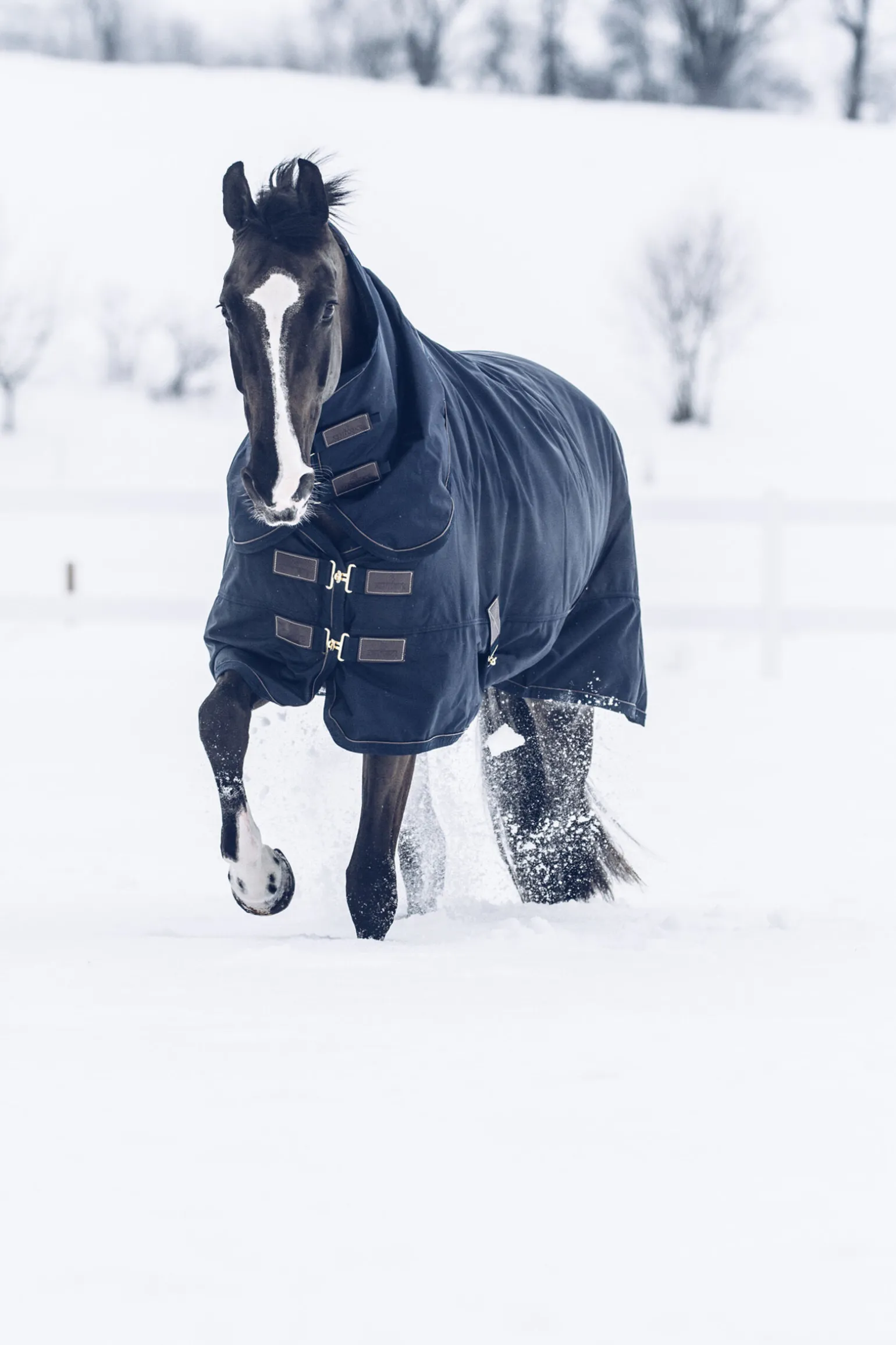 Kentucky Horsewear Tiny All Weather utedekken, 300 gram