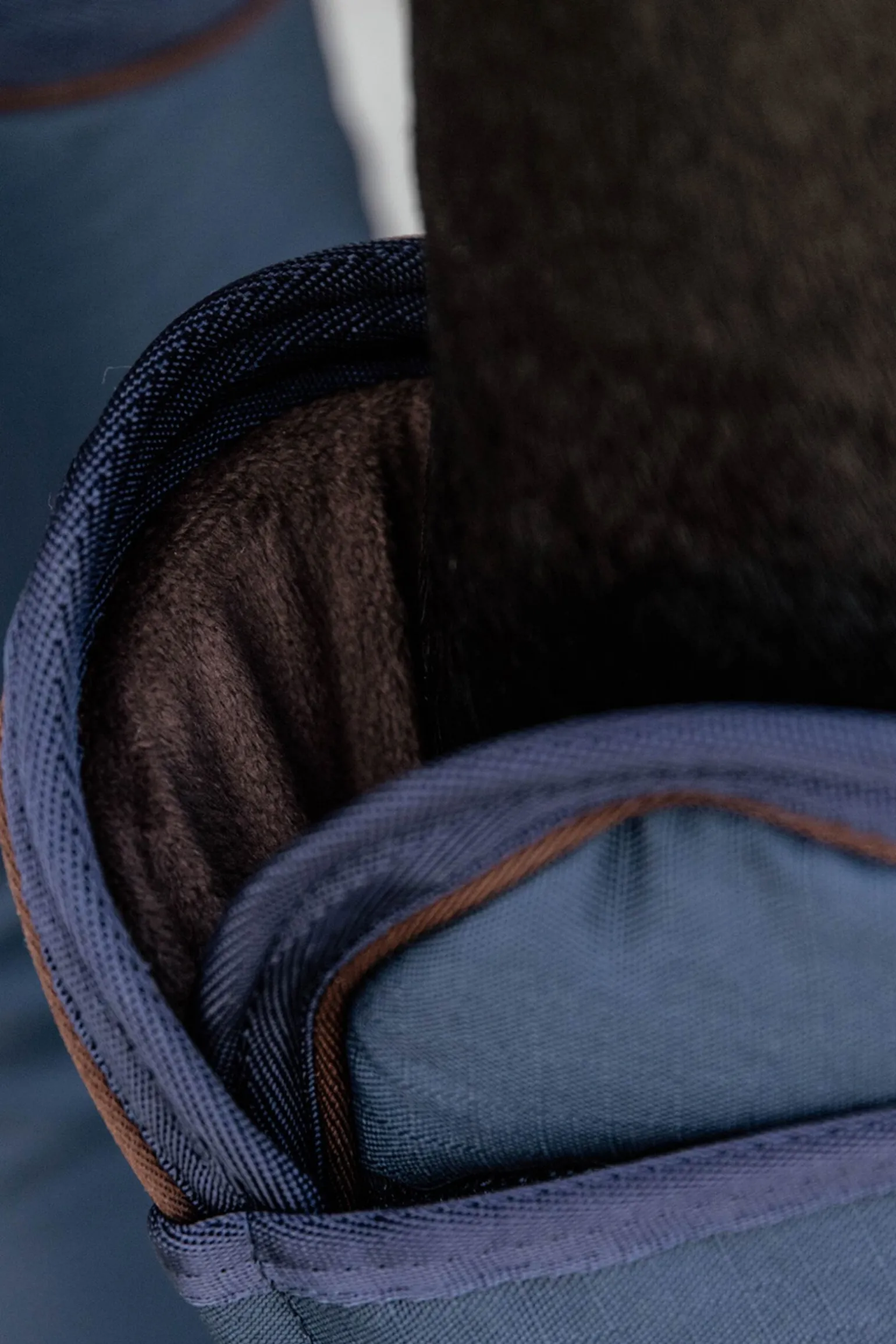 Kentucky Horsewear transportbelegg