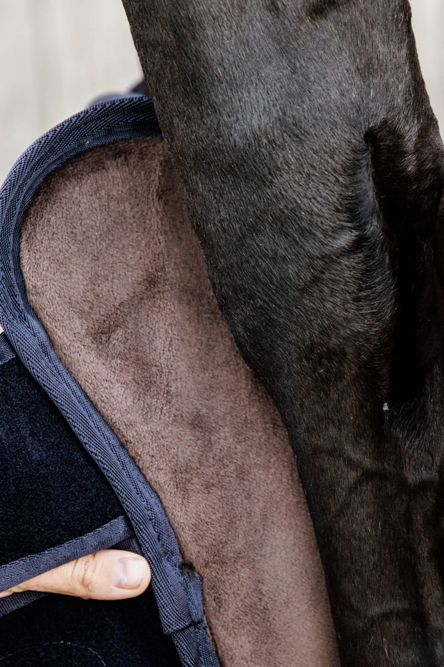 Kentucky Horsewear transportbelegg