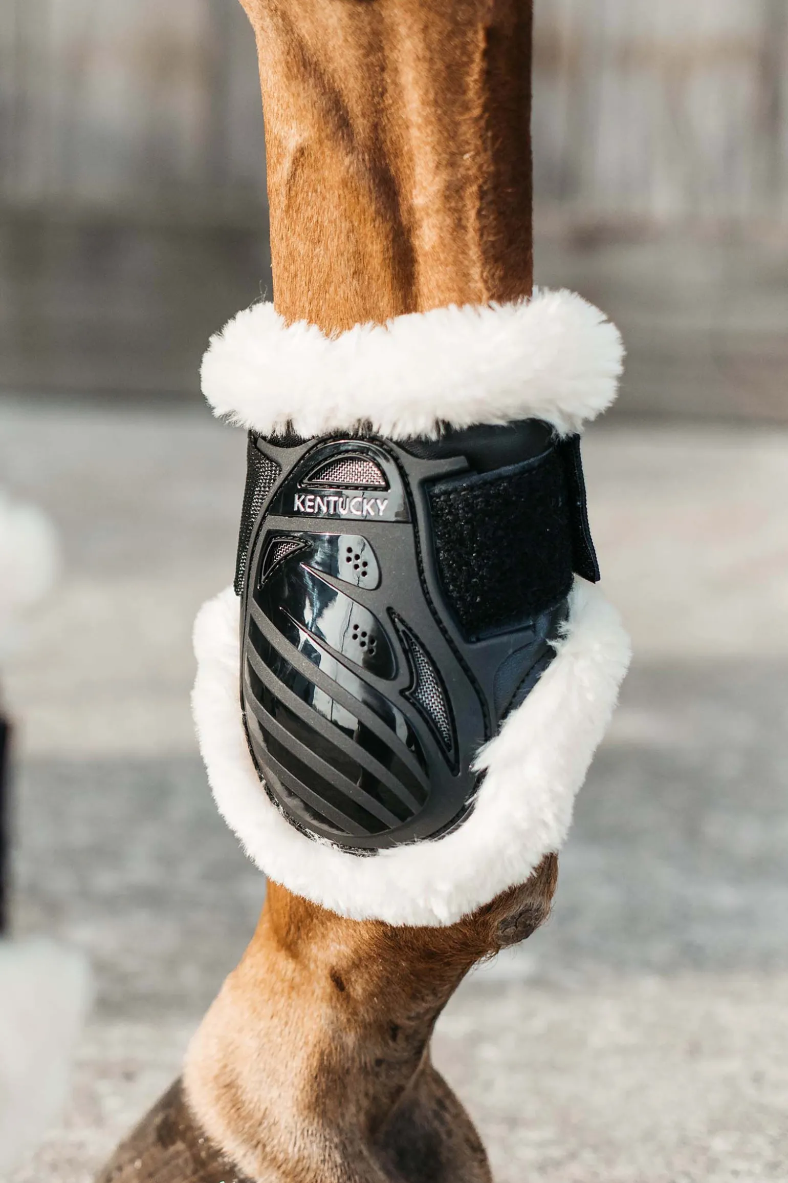 Kentucky Horsewear Vegan bakbeinsbelegg til unghest med saueskinn