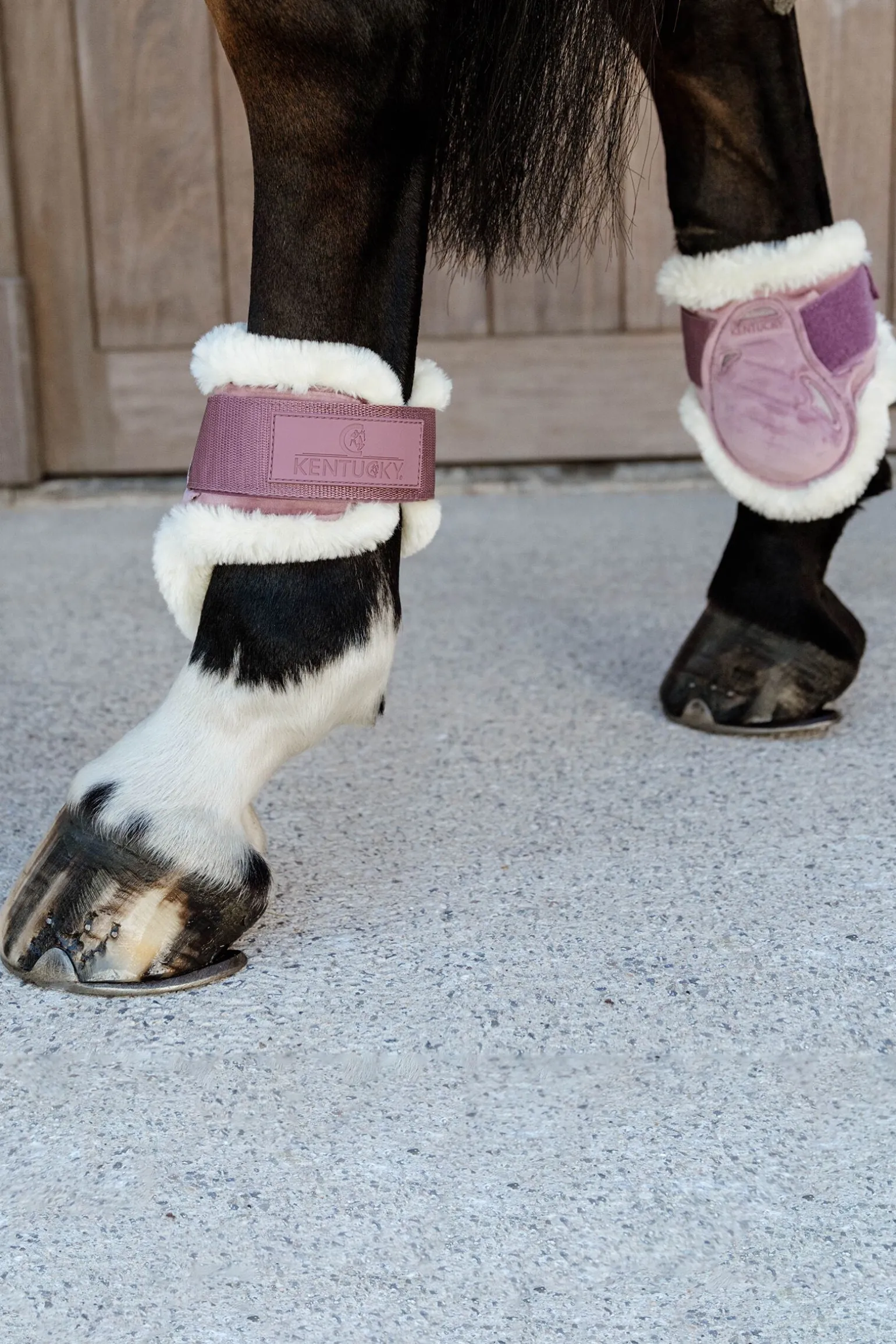 Kentucky Horsewear Vegansk saueskinn Young Horse Fetlock Boots Velvet