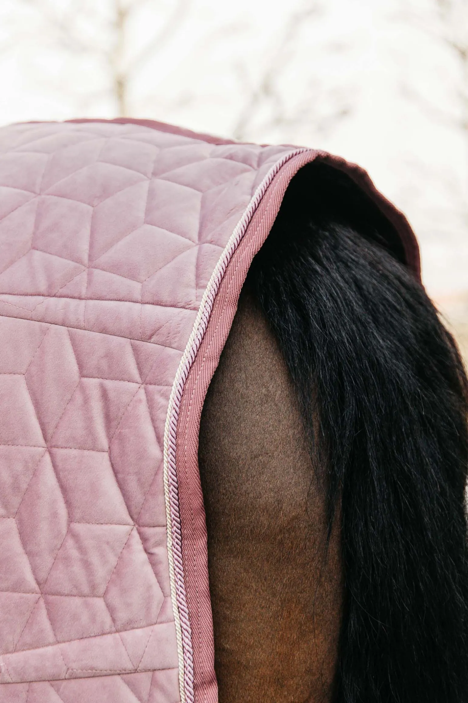 Kentucky Horsewear Velvet stevnedekken, 160 gram