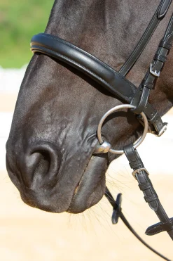 Kieffer Ultrasoft® Sue hodelag