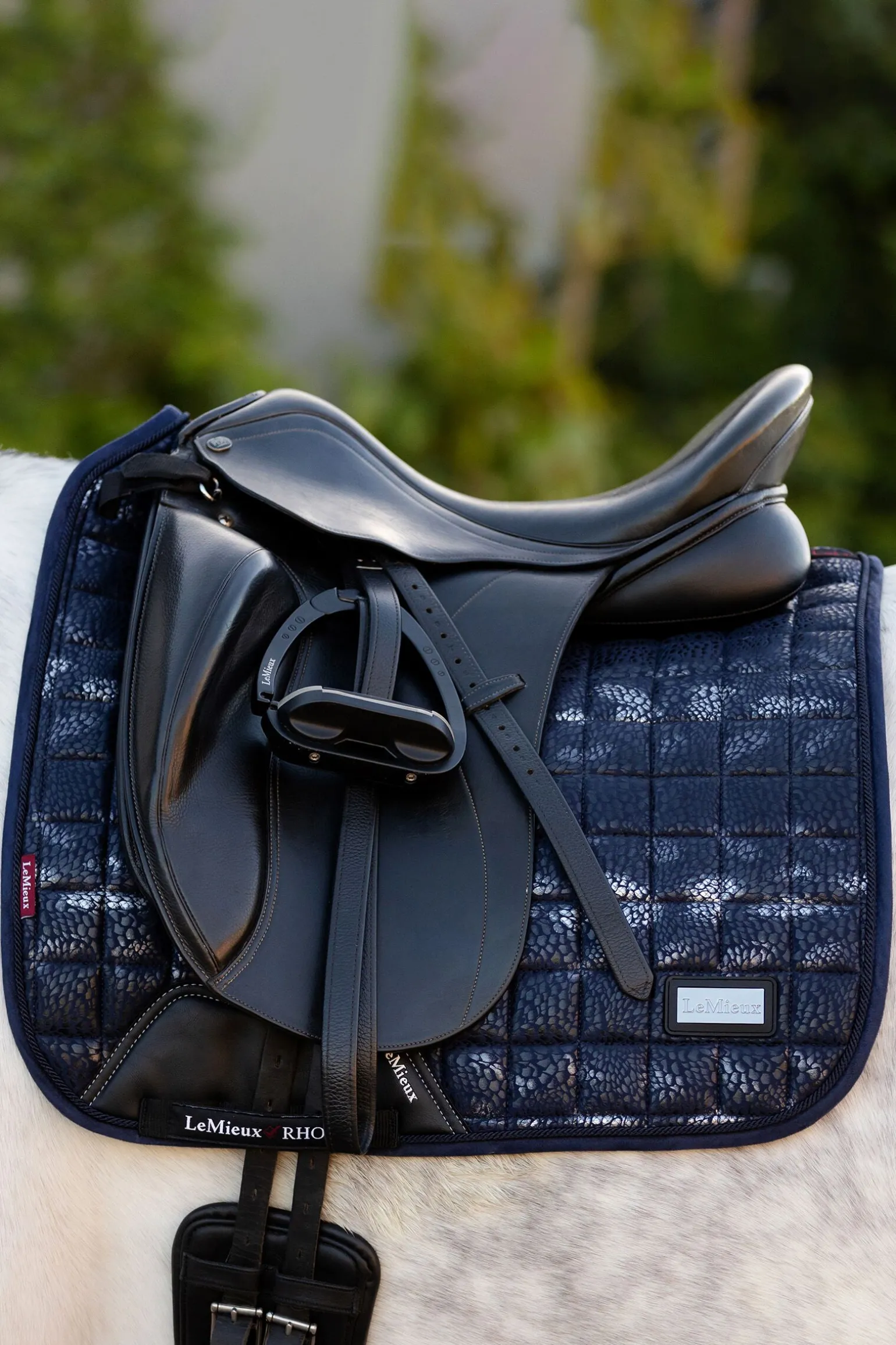 LeMieux Adour Dressursalvepute Fyrkant