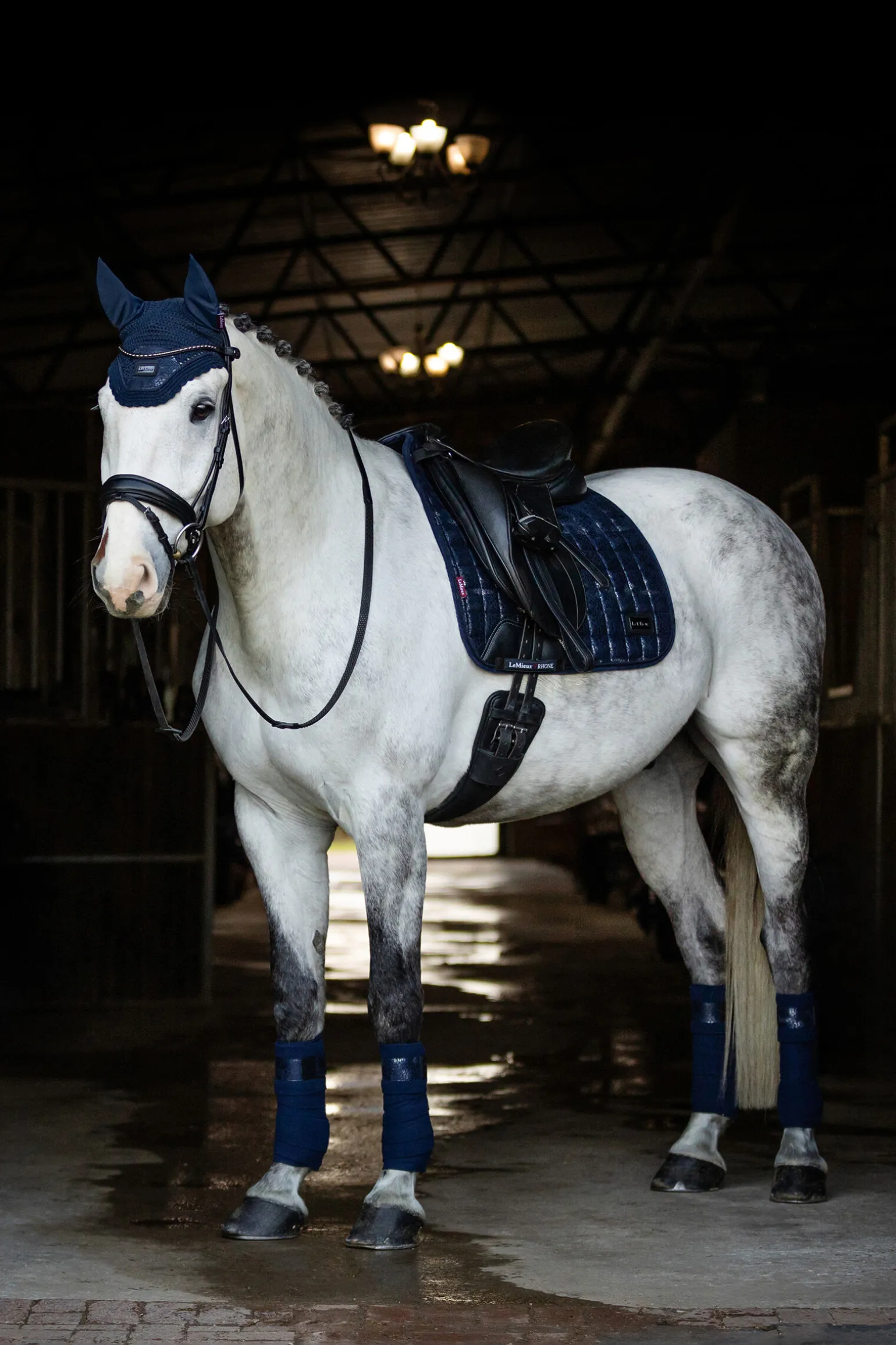 LeMieux Adour Dressursalvepute Fyrkant
