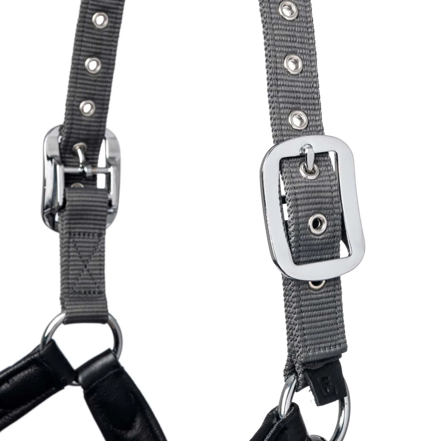 Lemieux Capella grime