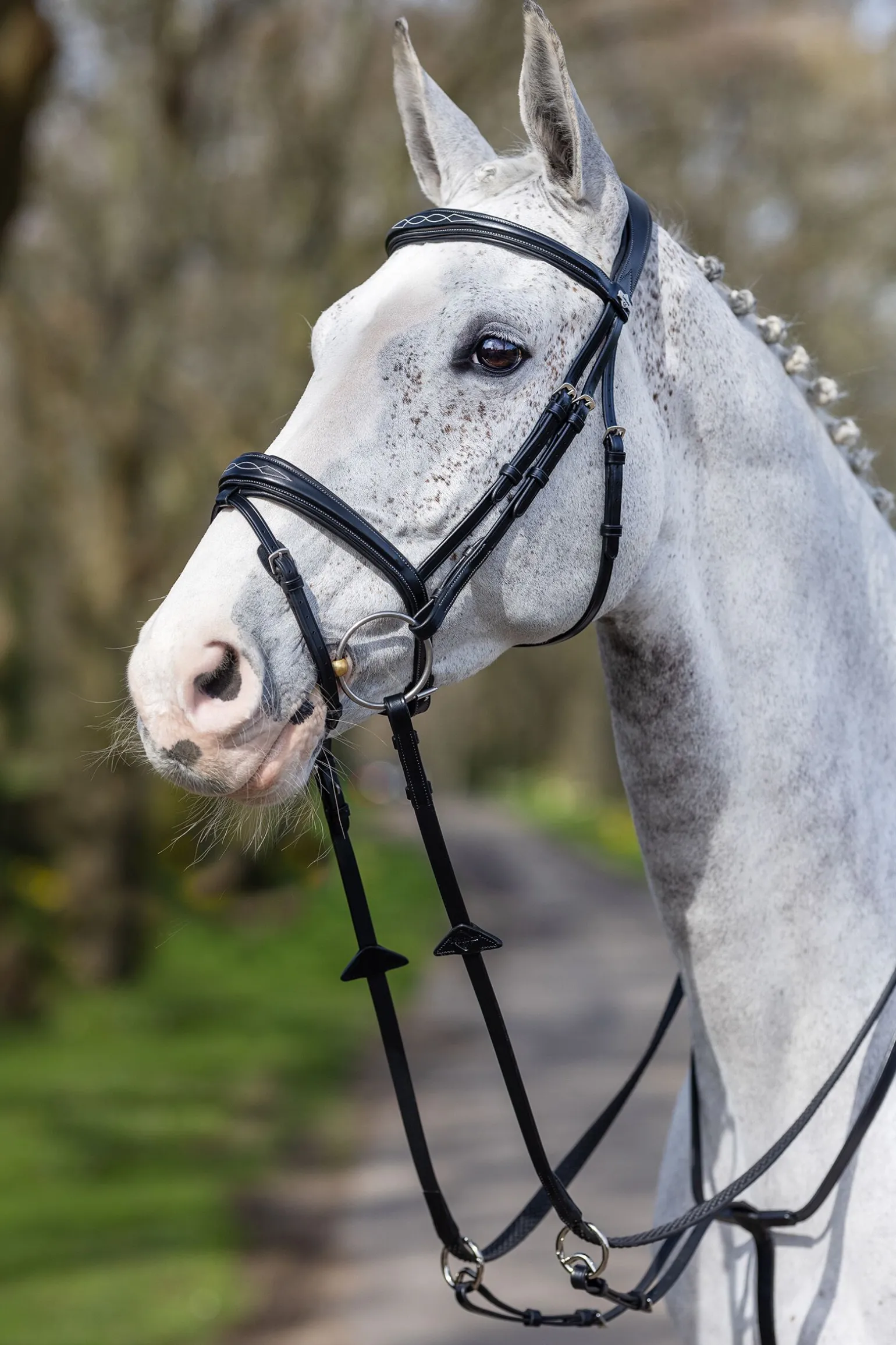 LeMieux Competition Flash hodelag