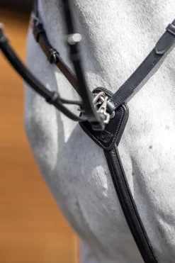 LeMieux Fortøy med avtakbar Martingal