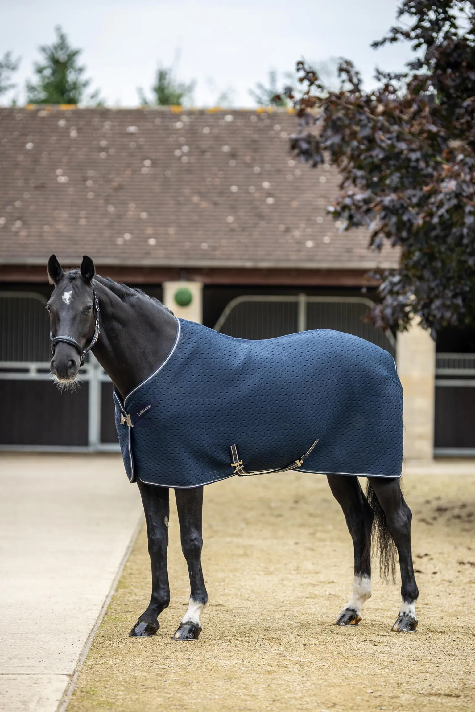 LeMieux Kudos 3D mesh reiseteppe