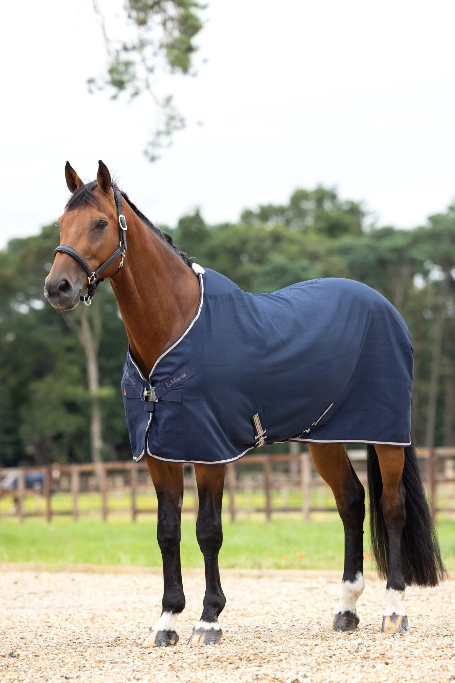 LeMieux Kudos Stable Sheet, 0g