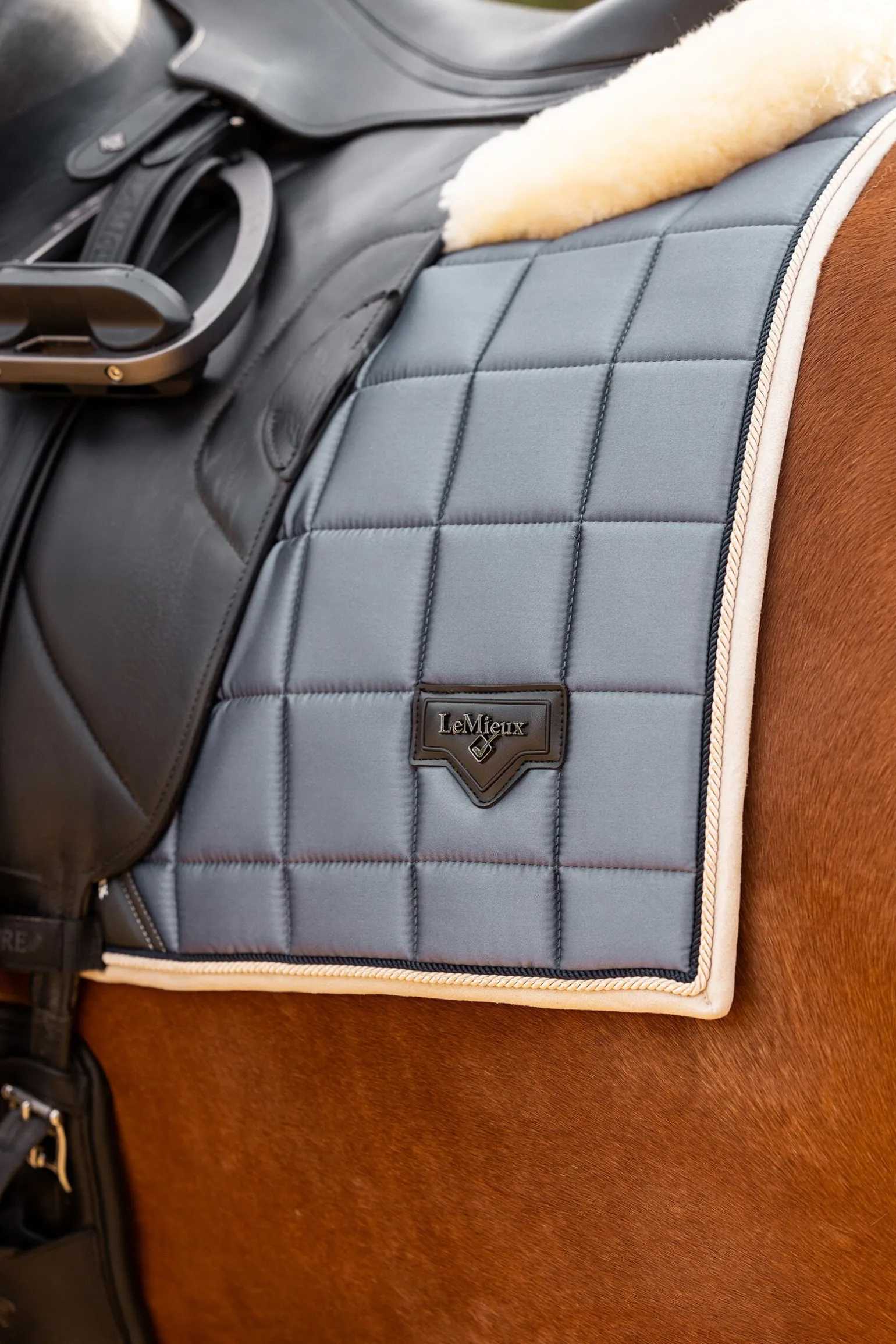 LeMieux Loire Classic dressursjabrak