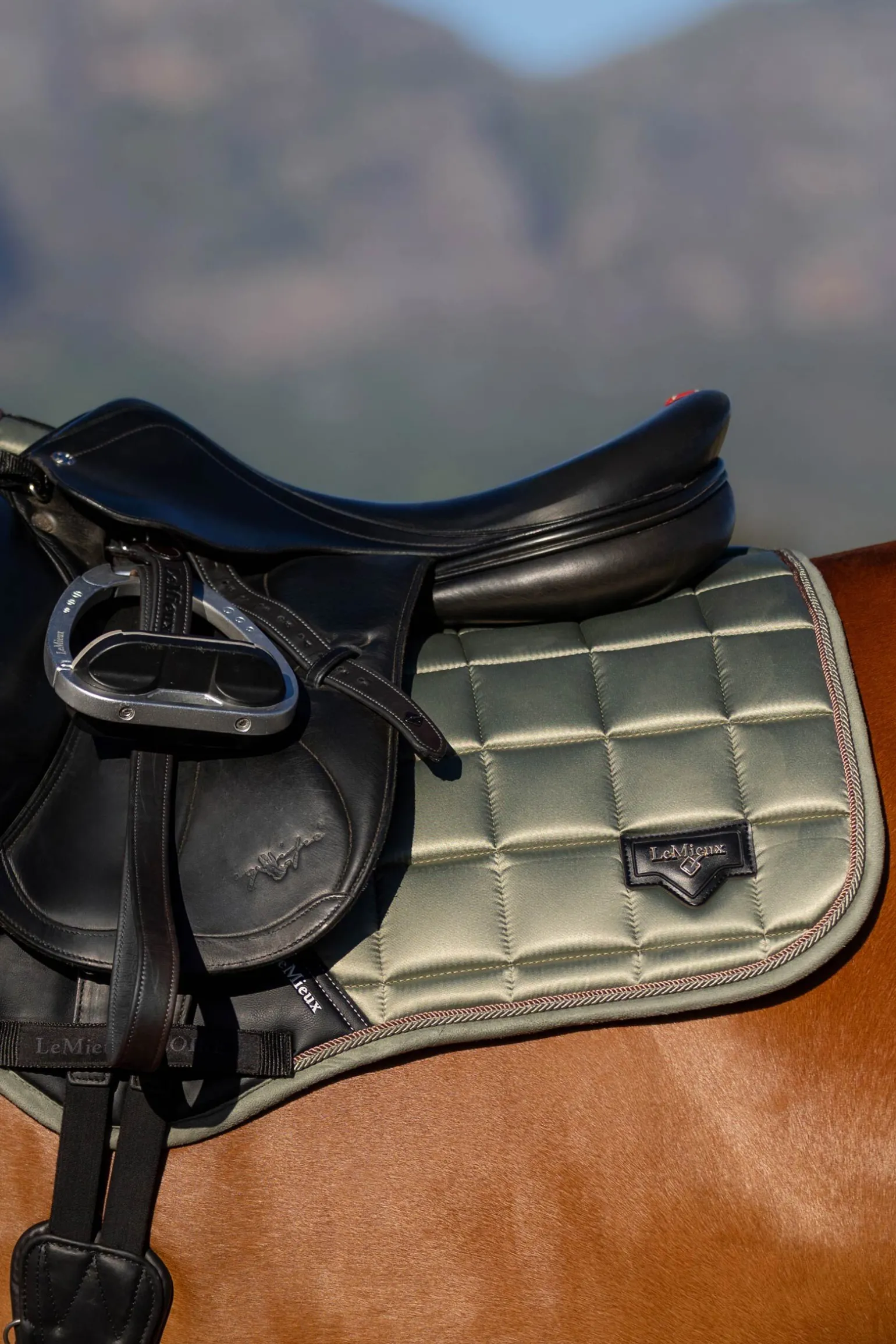 LeMieux Loire Square CC Sprangsjabrak