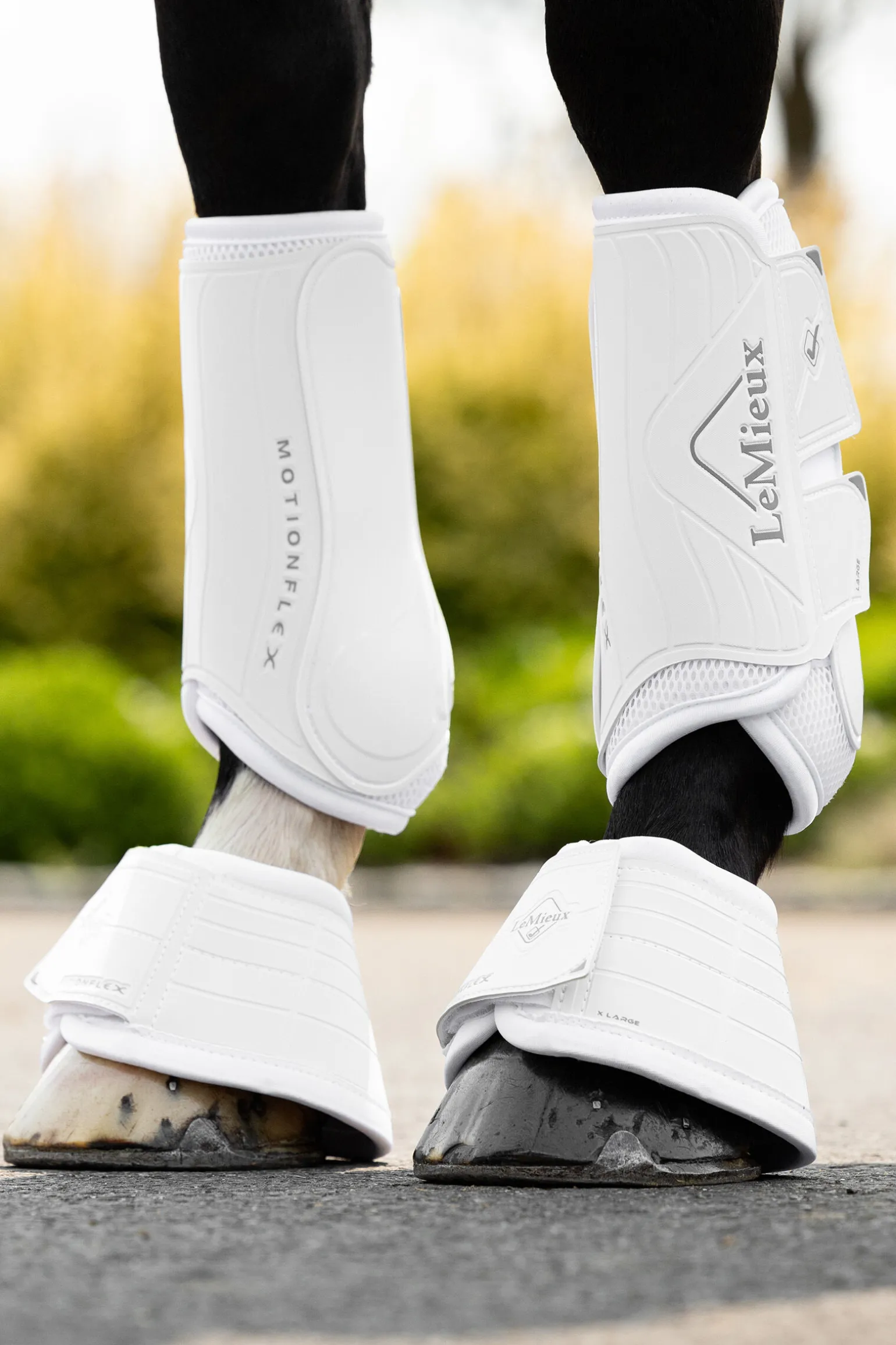 LeMieux Motionflex kopper