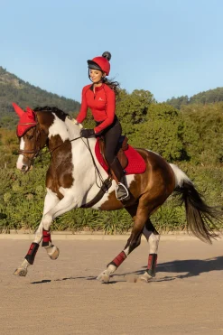 LeMieux Seasonal Luxury CC Sprangsjabrak