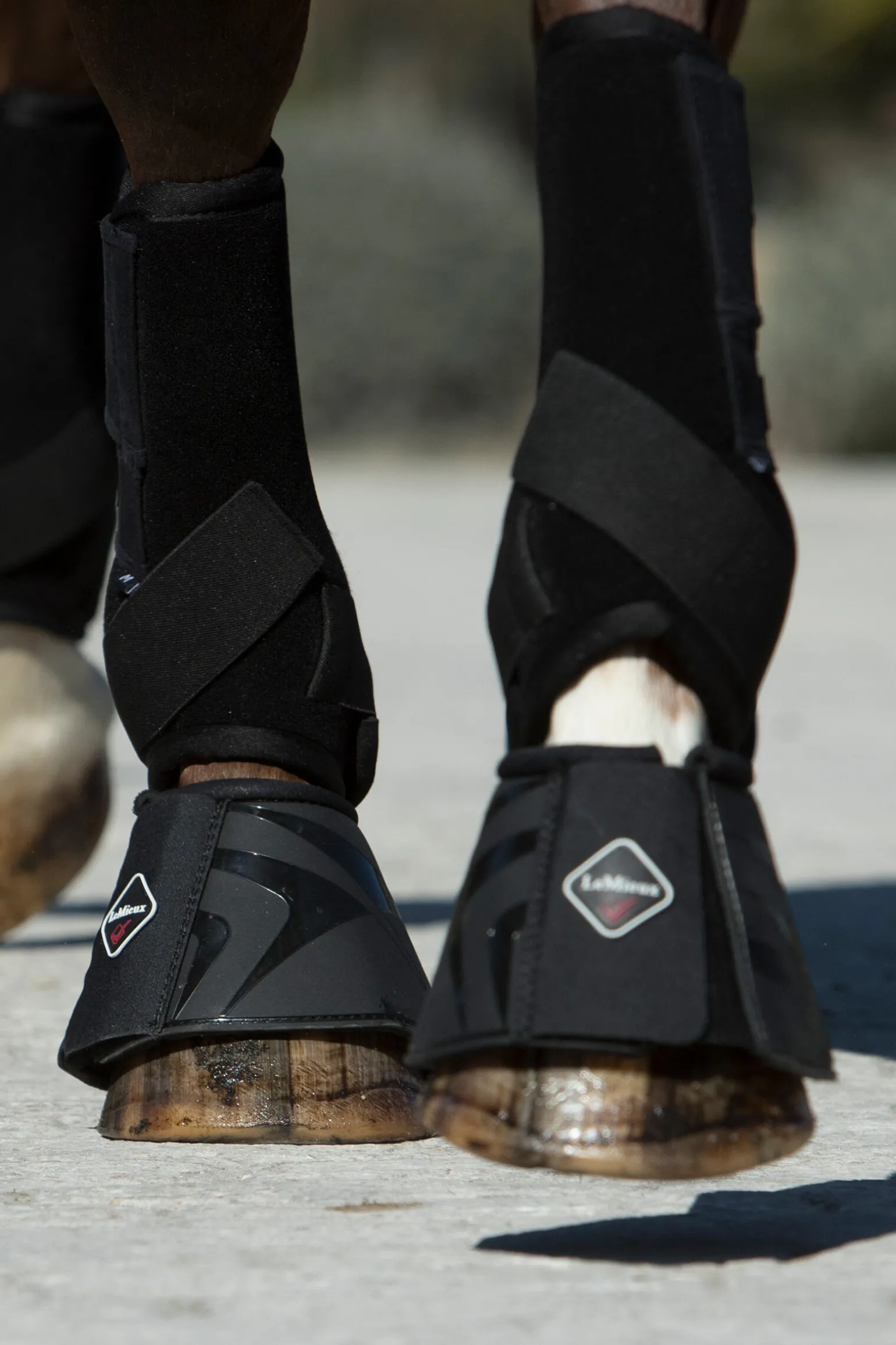 LeMieux Ultra Support Belegg